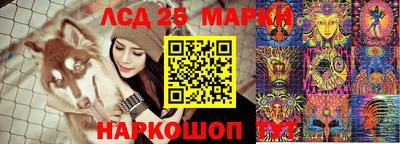 крисы Славянск-на-Кубани