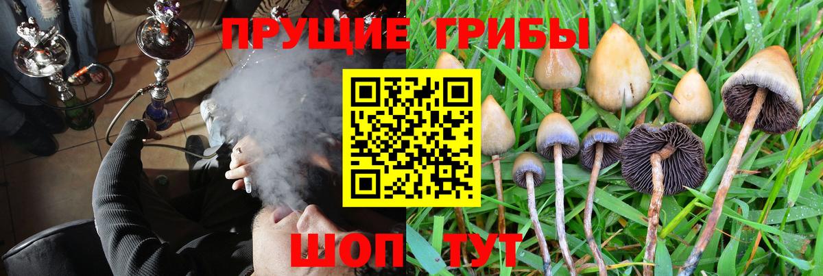 Псилоцибиновые грибы MAGIC MUSHROOMS Норильск
