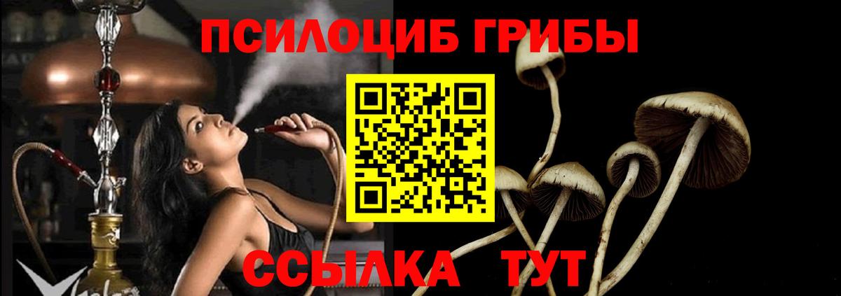 Галлюциногенные грибы мицелий  Вход с VPN  Норильск 